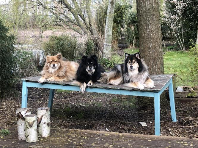 Alsof er niets aan de hand is.. 