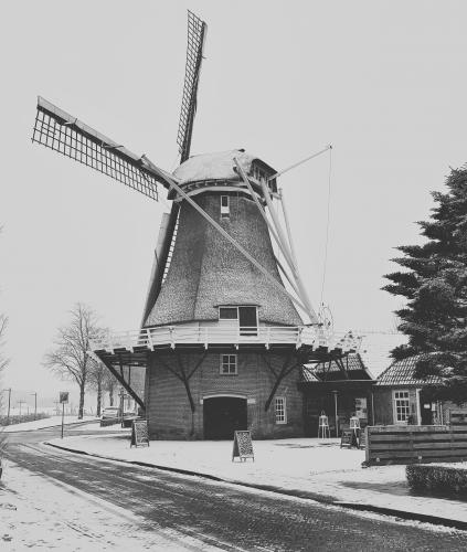 Molen 