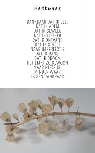 E book poem bundle Pure Life 