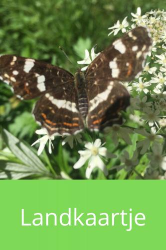 Landkaartje