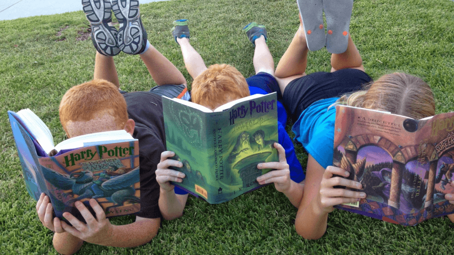 The Wonderful World of Children's Books: A Comprehensive Guide