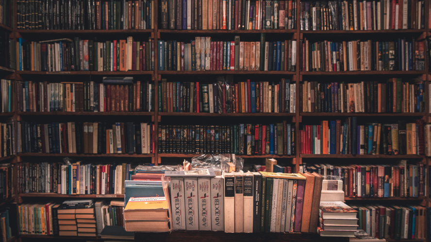 The Richness of Literature: Exploring Genres, Styles, and Influence on Human Experience