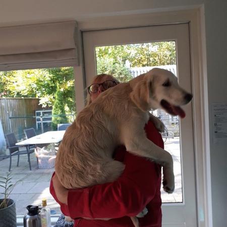 Ik #Marko  #Zwier  Op de #foto  met de #honden  van Mijn woon #begeleiders  van #Aveleijn .De  #hond