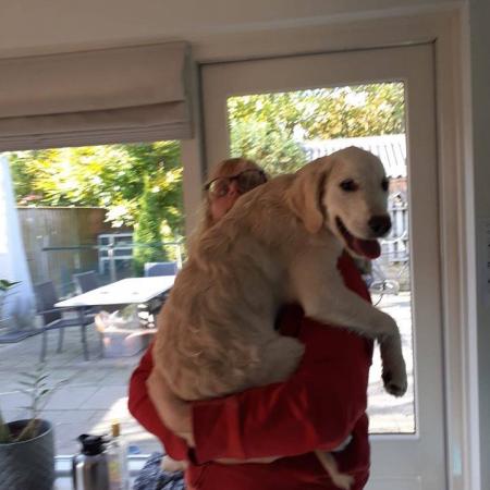 Ik #Marko  #Zwier  Op de #foto  met de #honden  van Mijn woon #begeleiders  van #Aveleijn .De  #hond