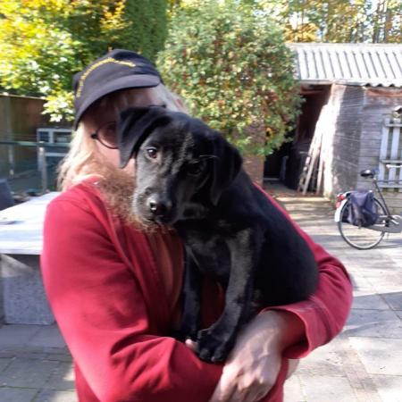Ik #Marko  #Zwier  Op de #foto  met de #honden  van Mijn woon #begeleiders  van #Aveleijn .De  #hond