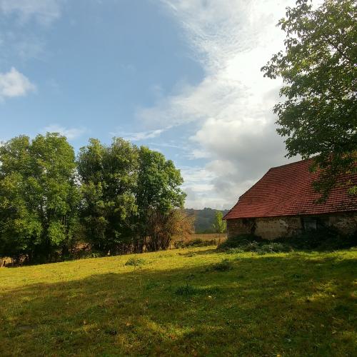 Not dropping the project!