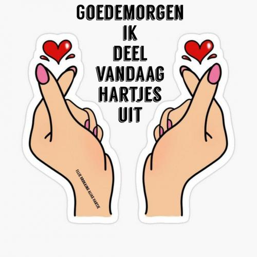 Mooi
