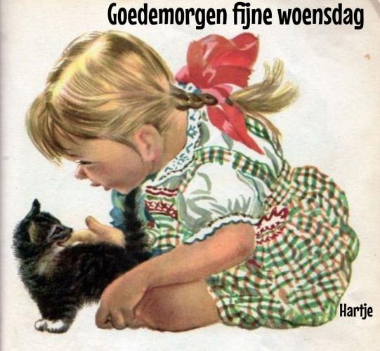 Goedemorgen woensdag