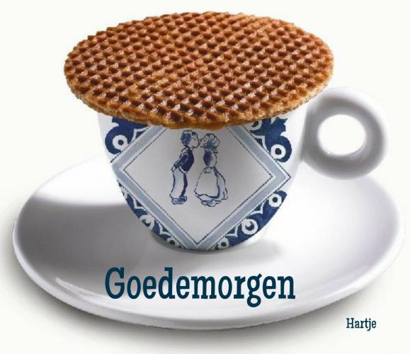 Goedemorgen 