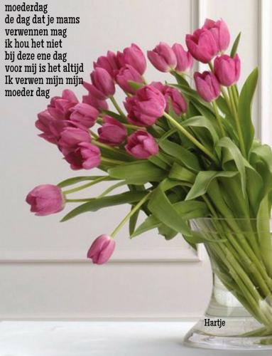 Moederdag 