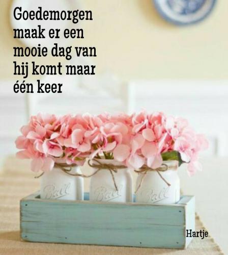 Goedemorgen