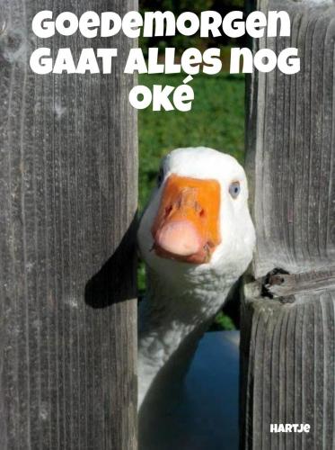 Alles oké 