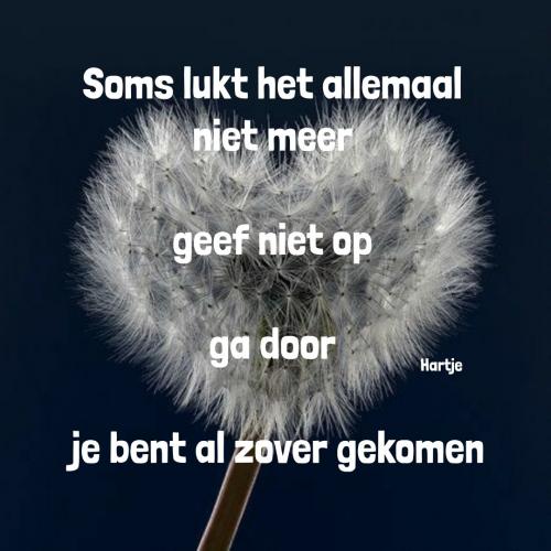 Hartje zegt: Geef niet op 