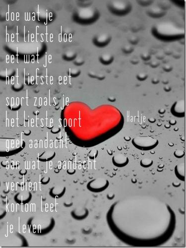 Teksten van Ellie Brokking alias Hartje