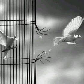 Plunderen het nieuwe demonstreren