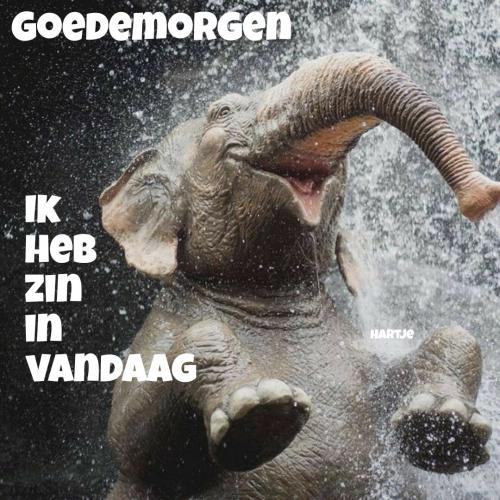 Ik heb zin in vandaag