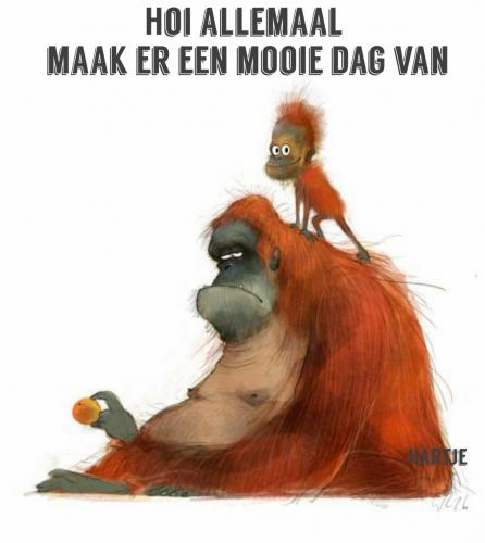 Goedemorgen allemaal