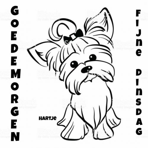 Goedemorgen het is alweer dinsdag