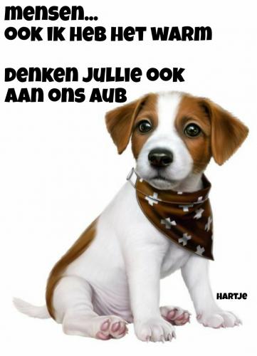 Hartje zegt: Denk ook aan ons