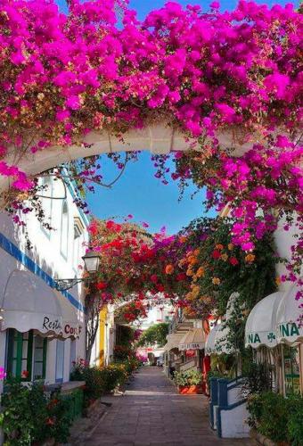 Code oranje Gran Canaria