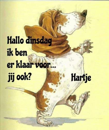Hartje zegt:  Fijne Dinsdag