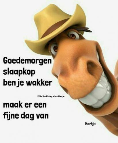 Goedemorgen...al wakker