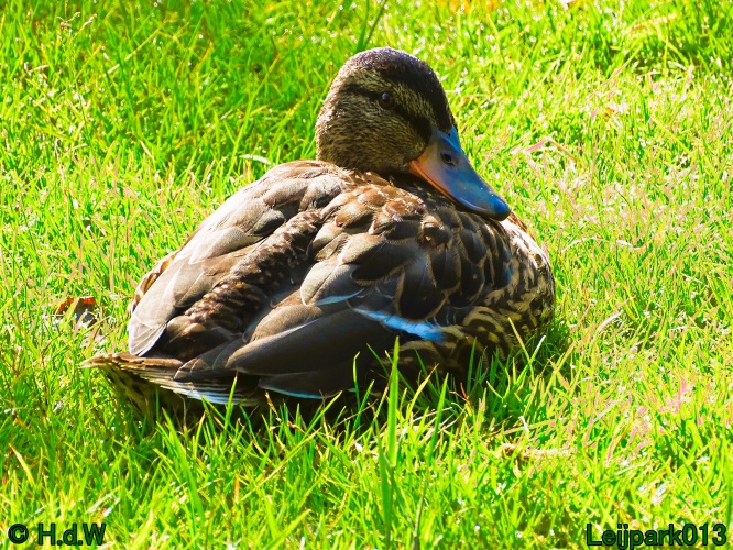 11 &amp; 12 &amp; 13 &amp; 14 juni 2024