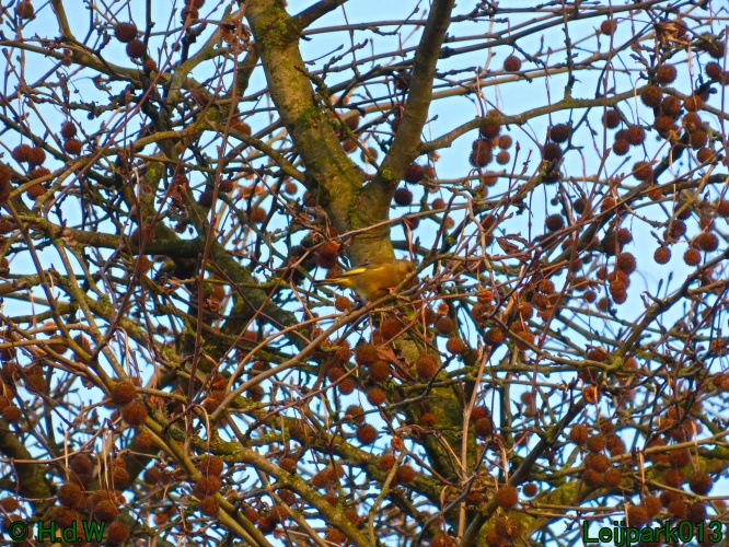 9 &amp; 10 &amp; 11 &amp; 12 januari 2025