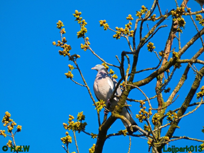 3 &amp; 4 &amp; 5 &amp; 6 april 2025