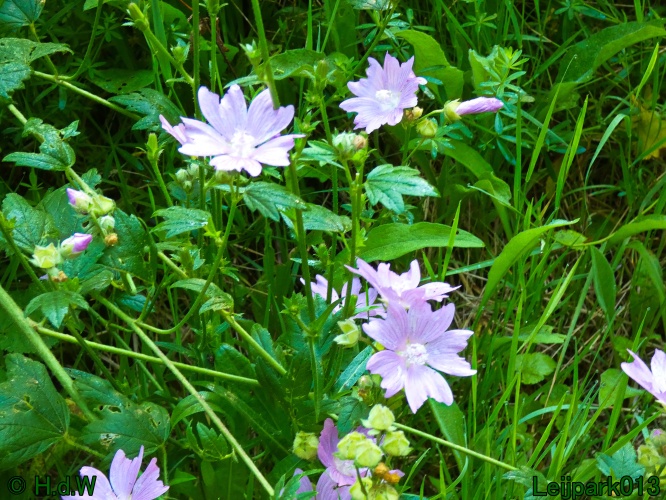 22 &amp; 23 &amp; 24 &amp; 25 augustus 2024