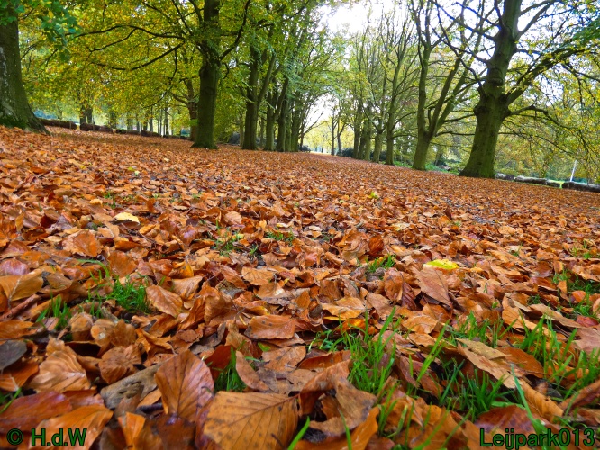 2 &amp; 3 &amp; 4 &amp; 5 November 2024