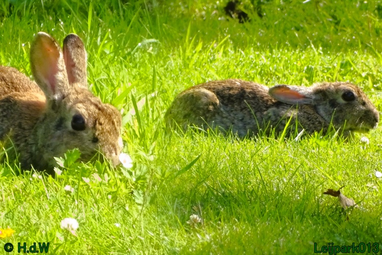 27 &amp; 28 &amp; 29 &amp; 30 juni 2024