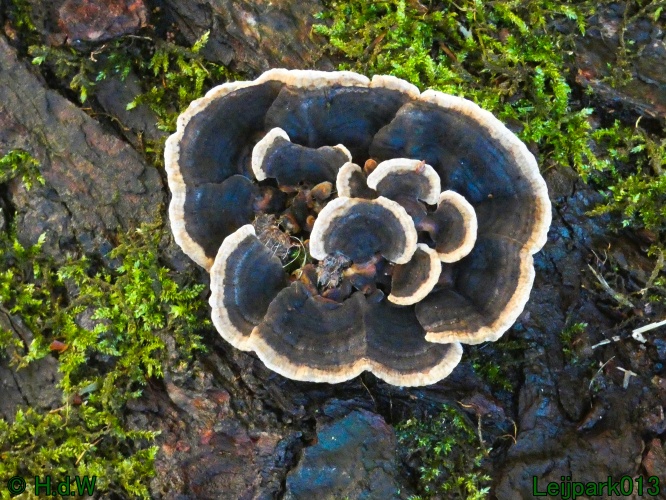 1 &amp; 2 &amp; 3 &amp; 4 oktober 2025