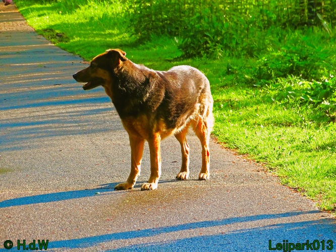 Beestenboel 12 mei 2024