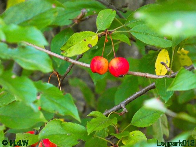 2 &amp; 3 &amp; 4 &amp; 5 November 2024