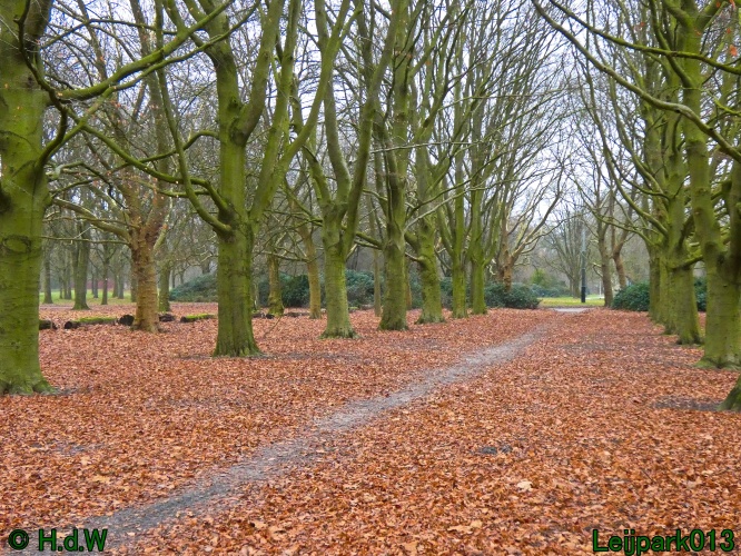 16 &amp; 17 &amp; 18 &amp; 19 december 2024