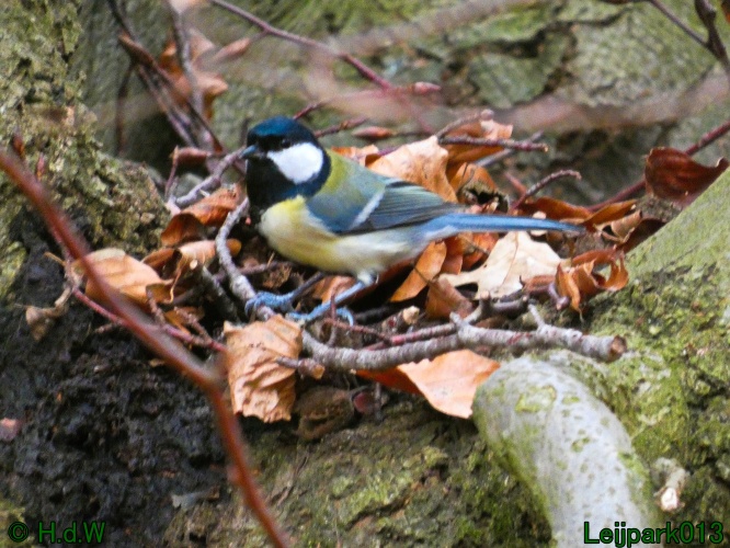 16 &amp; 17 &amp; 18 &amp; 19 december 2024