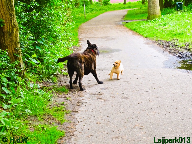 Beestenboel 12 mei 2024