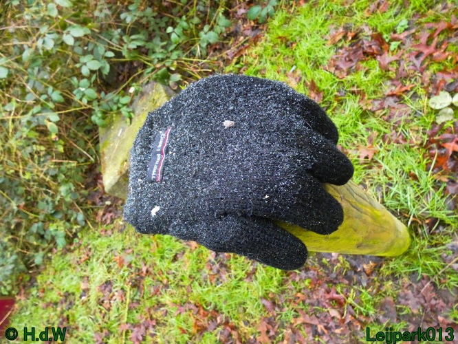 21 &amp; 22 &amp; 23 &amp; 24 januari 2025