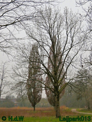 16 &amp; 17 &amp; 18 &amp; 19 december 2024