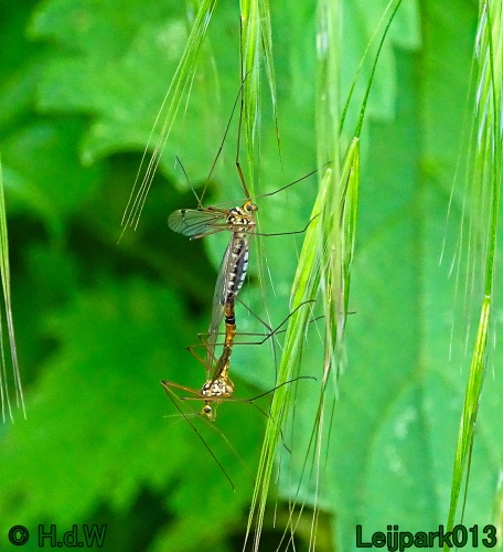 11 &amp; 12 &amp; 13 &amp; 14 juni 2024