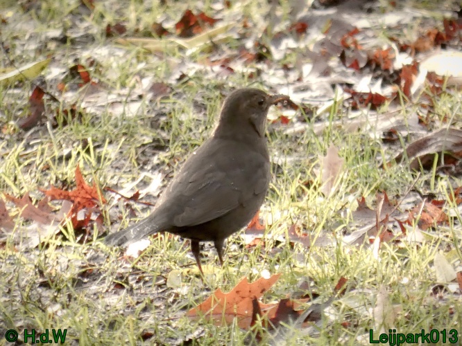 18 &amp; 19 &amp; 20 &amp; 21 november 2024