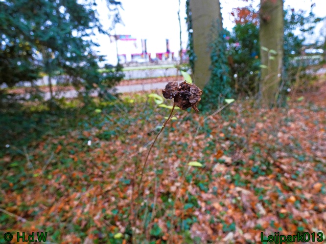 16 &amp; 17 &amp; 18 &amp; 19 december 2024