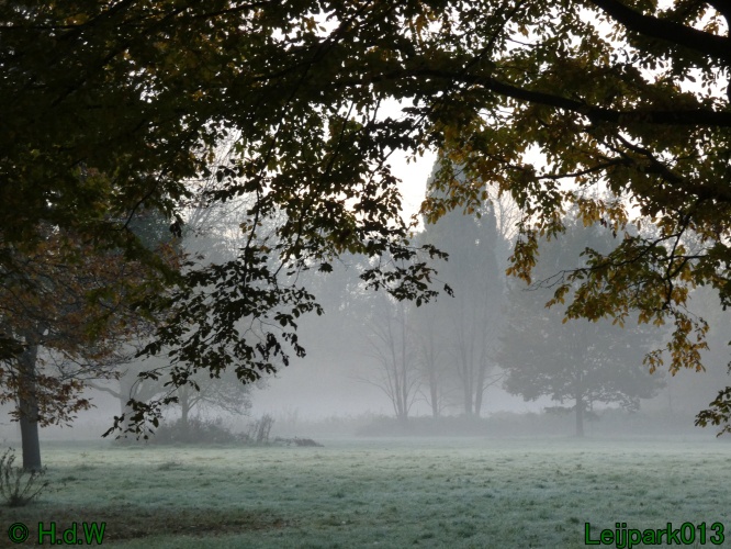 3 november 2024 Vanmorgenwas er mist in het Leijpark