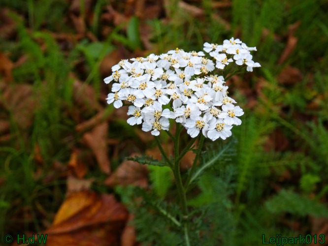 10 &amp; 11 &amp; 12 &amp; 13 november 2024