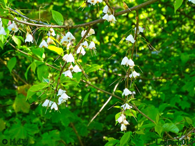 30 april 1 &amp; 2 &amp; 3 mei 2024