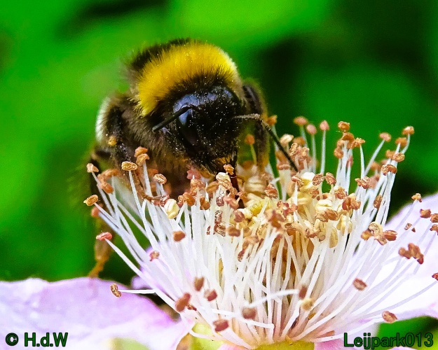 11 &amp; 12 &amp; 13 &amp; 14 juni 2024