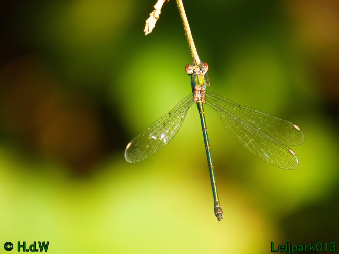 22 &amp; 23 &amp; 24 &amp; 25 augustus 2024