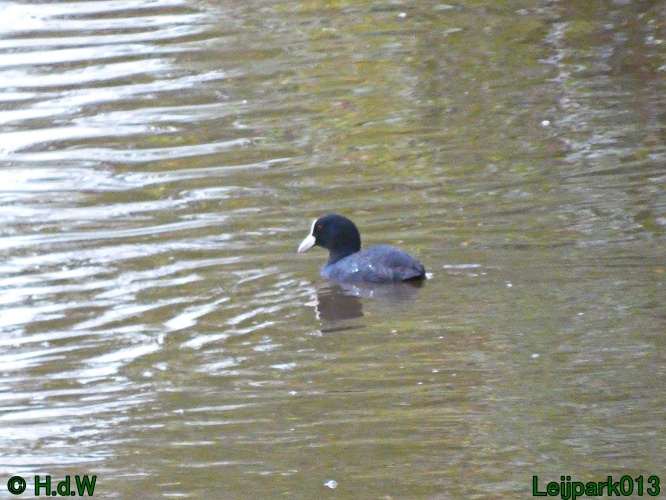 10 &amp; 11 &amp; 12 &amp; 13 november 2024