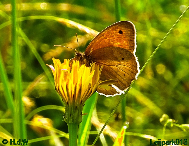 27 &amp; 28 &amp; 29 &amp; 30 juni 2024